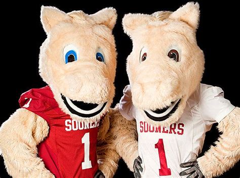 Oklahoma mascot fired for too much horsing around | Sports | cnhinews.com