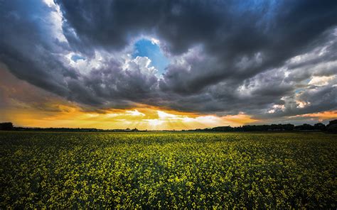 Image Thundercloud Nature Fields Clouds