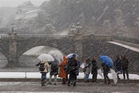 In Pictures: Heavy snowfall in central Tokyo | The Straits Times