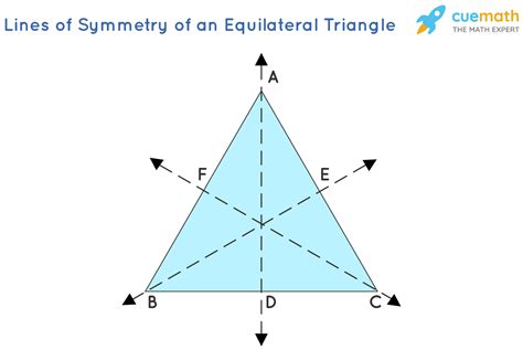 How many lines of symmetry does an equilateral triangle have? [Solved]