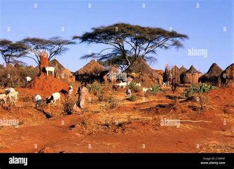 Ethiopia, the South, village of the Borena tribe in the surroundings of ...