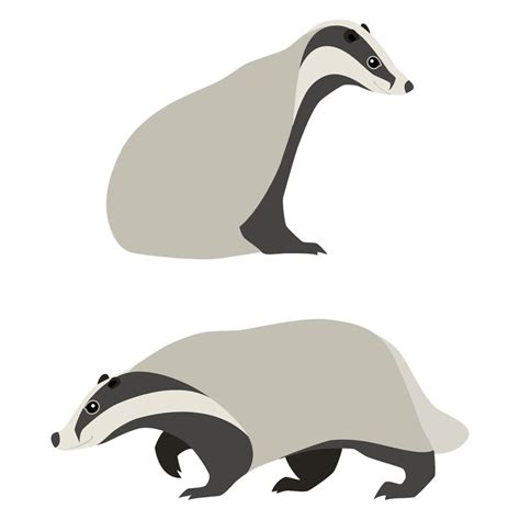 Badgers | Badger illustration, Cartoon fox drawing, Cute animal drawings