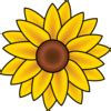 Sunflower Tattoos - Cool Tattoo Designs