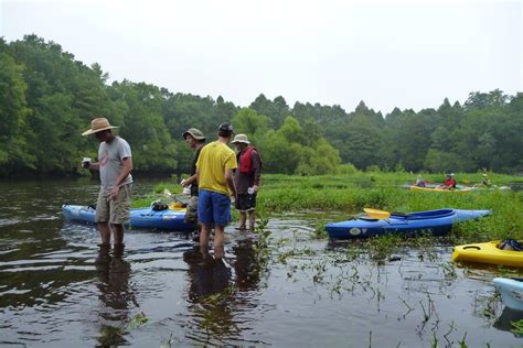 Edisto River kayaking | Fossil hunters at work. | Flickr