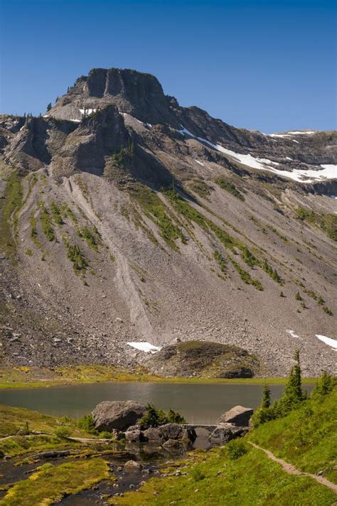 Mt. Baker National Forest stock image. Image of national - 76710743