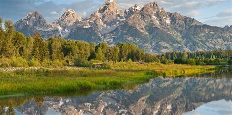 The BEST Teton County, Wyoming Birdwatching 2022 - FREE Cancellation | GetYourGuide