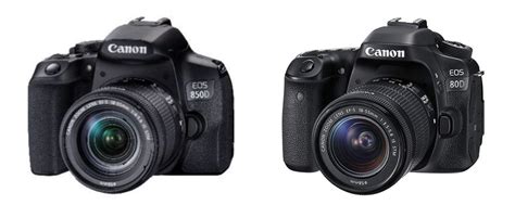 Canon EOS Rebel T8i (850D) vs 80D (2021): First Look At Canon's Next ...