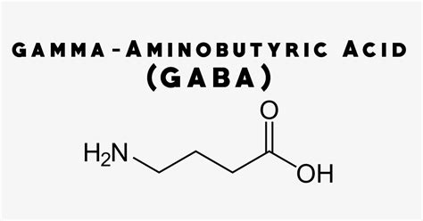 GABA: Uses, Side Effects, Interactions, Dosage and Supplements