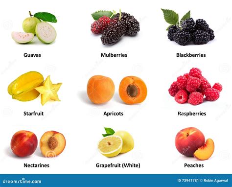 Set of High Protein Fruits stock illustration. Illustration of ...