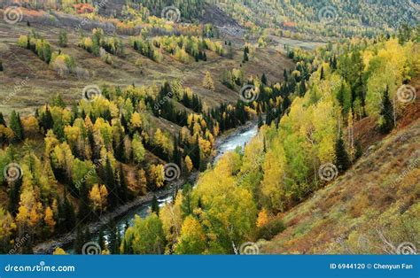 Pasture land stock photo. Image of rural, hemu, hamlet - 6944120