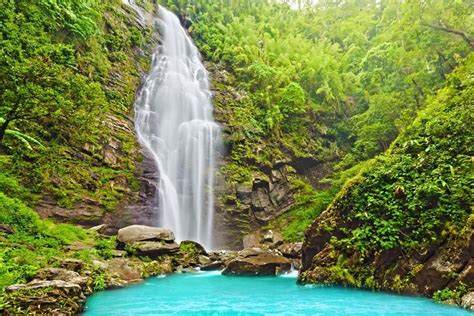 Vietnam national parks: Guide to the most scenic places