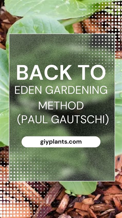 Back To Eden Gardening Method (Paul Gautschi) – GIY Plants in 2023 ...