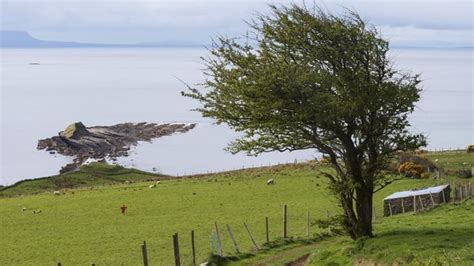 Storm Isha to bring strong winds as cold snap ends : r/ireland