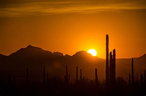 A Sonoran Desert Sunset in Saguaro National Park | The sun d… | Flickr