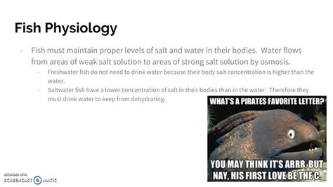 10 01 Fish Physiology - YouTube