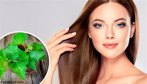 ¿Qué tan buena es la ortiga para el cabello? — Mejor con Salud