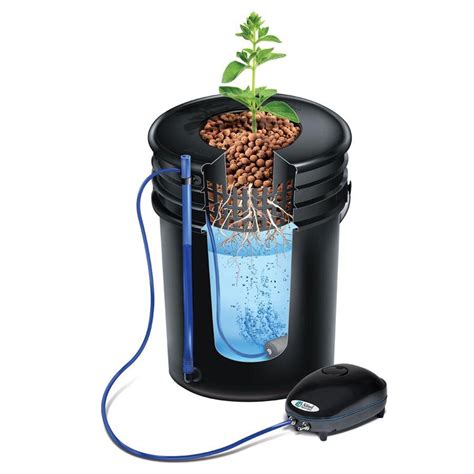 Alfred Horticulture DWC System for hydroponic systems for Sale ...