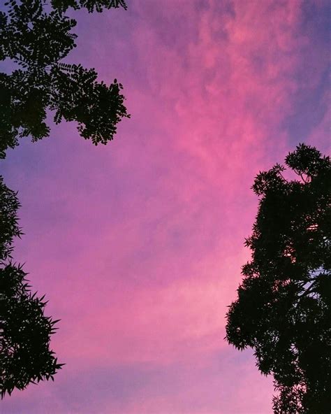 #Sky #Pink #Spring #Summer #Trip #Travel #Nature #Clouds #Cloud #Sky #Tree #Woods #Wanderlust ...