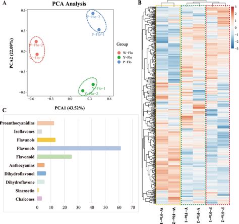 Preliminary analysis of metabolomics data. Comparison of metabolite ...