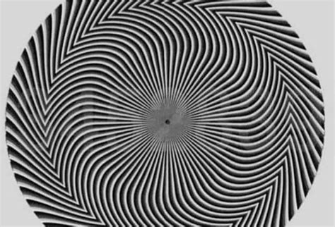 10 Mind-Blowing Optical Illusions That Went Viral