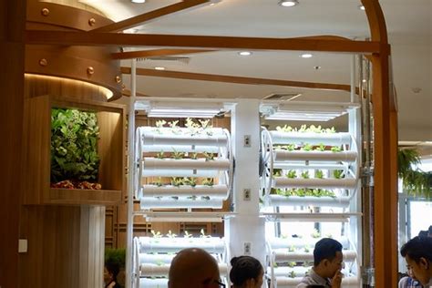 More hydroponics at restaurant in IconSiam mall. | bencampbell | Flickr