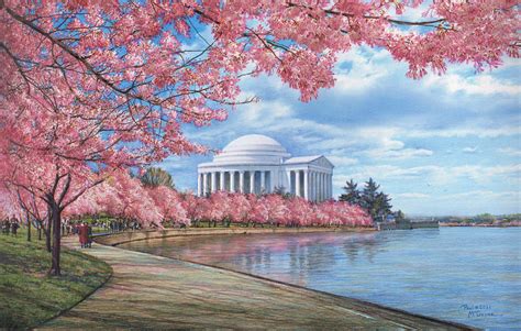 Jefferson Memorial Cherry Blossoms