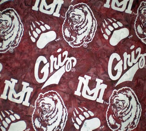 University of Montana Grizzlies fabric N2882-533