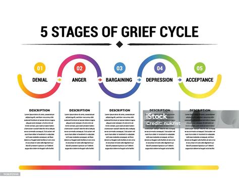 5 Stages Of Grief Diagram – NBKomputer