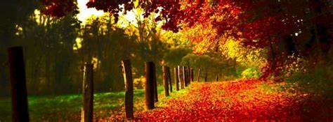 Autumn Fb Covers / Fall Leaves Facebook Covers - myFBCovers | Ellis Pearce