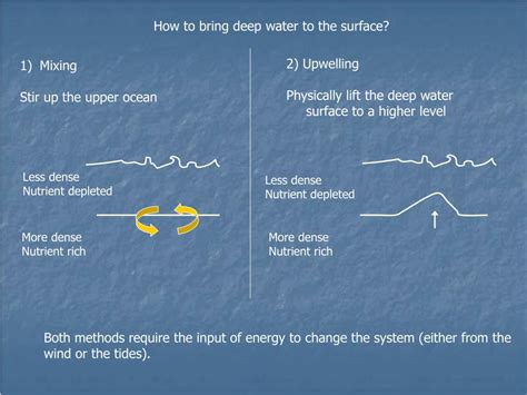 PPT - Upwelling/Downwelling and Related Processes PowerPoint Presentation - ID:4583346