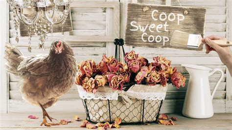 Chicken Coop Decor Ideas – A Coop Doesn’t Have To Be Boring - Free Chicken Coop Plans