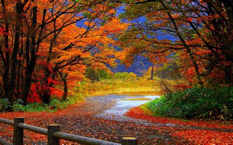 Widescreen-HD-Wallpaper-Autumn-Fall.jpg 1,680×1,050 pixels | Scenery ...