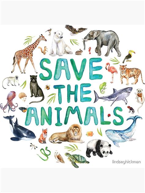 "Save the Animals" Poster for Sale by lindseyhickman | Redbubble