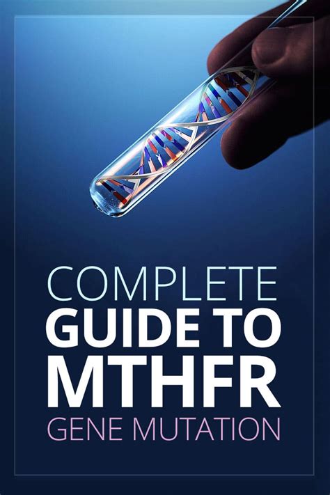 My Guide to MTHFR Gene Mutation, MTHFR Testing & Treatment