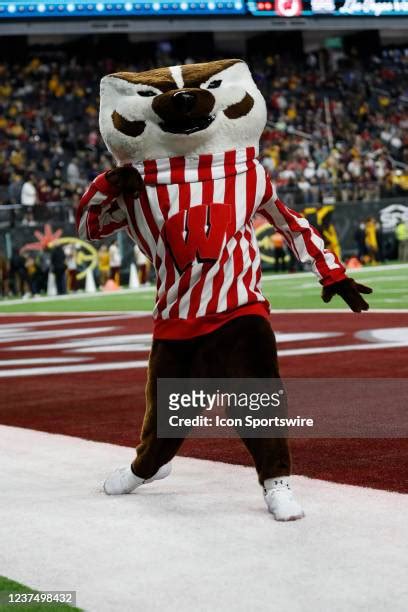 960 Wisconsin Badgers Mascot Stock Photos, High-Res Pictures, and Images - Getty Images