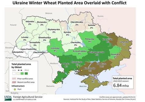 Ukraine wheat