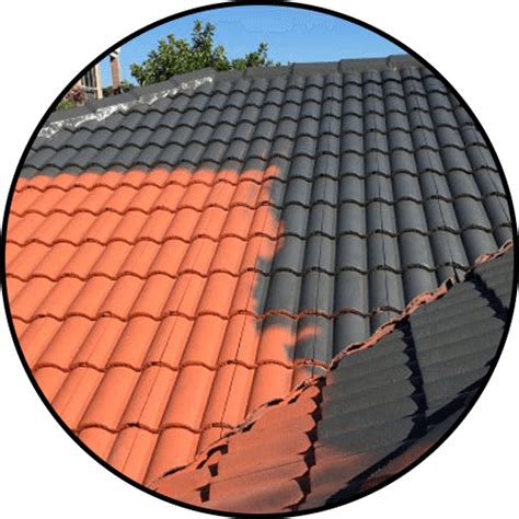 Roof Painting - Accurate Roof Restoration