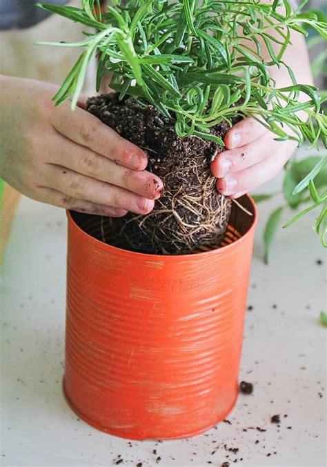 How to Make Your Own Indoor Herb Garden - Somewhat Simple