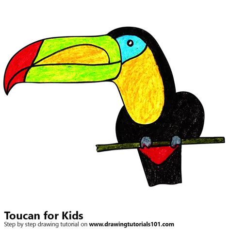 Learn How to Draw a Toucan for Kids (Animals for Kids) Step by Step : Drawing Tutorials