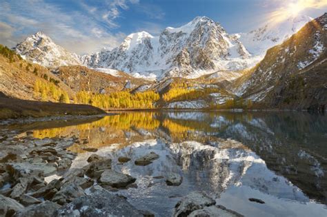 Best Altai Nature Reserve Stock Photos, Pictures & Royalty-Free Images ...