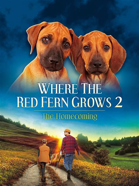 Where The Red Fern Grows - Part 2 - SPANISH VERSION - BMG-Global | Bridgestone Multimedia Group ...