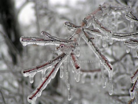 Ice Storm Wallpaper (67+ images)