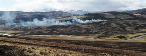 What will become of Scotland's moors? | SEFARI