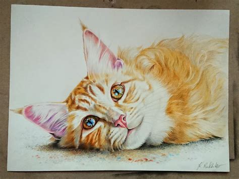 Colored Pencil Cat - the Ginger Cat "Claire" / Drawing by me / 2019 : r/drawing