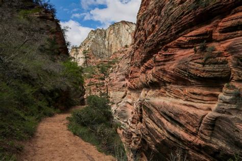 Observation Point Trail in Zion National Park, Utah - National Parks Blog