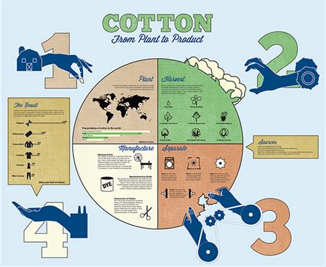 The Process of Cotton Infographic :: Behance