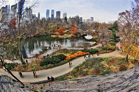 Thoughts From My Camera: New York City Central Park Photo