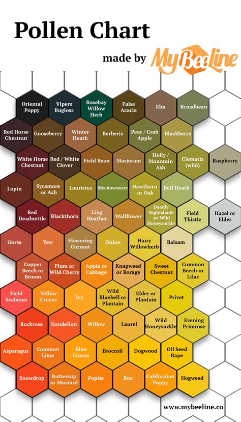 Pollen identification color guide - MyBeeLine