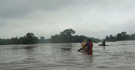 MOKELE - MBEMBE EXPEDITIONS: Un nouveau témoignage sur le Mokele - Mbembe durant notre ...