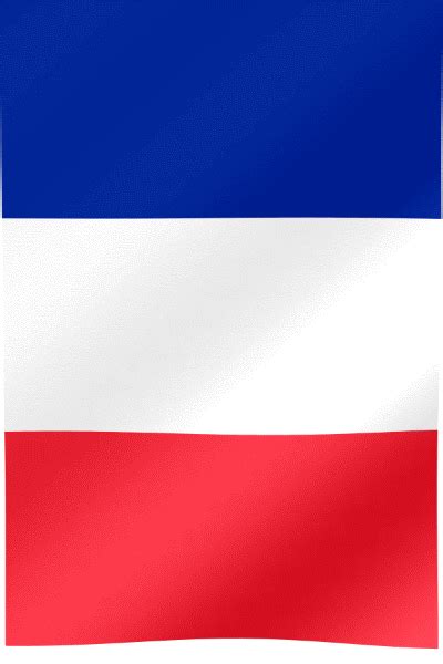 France Flag GIF | All Waving Flags